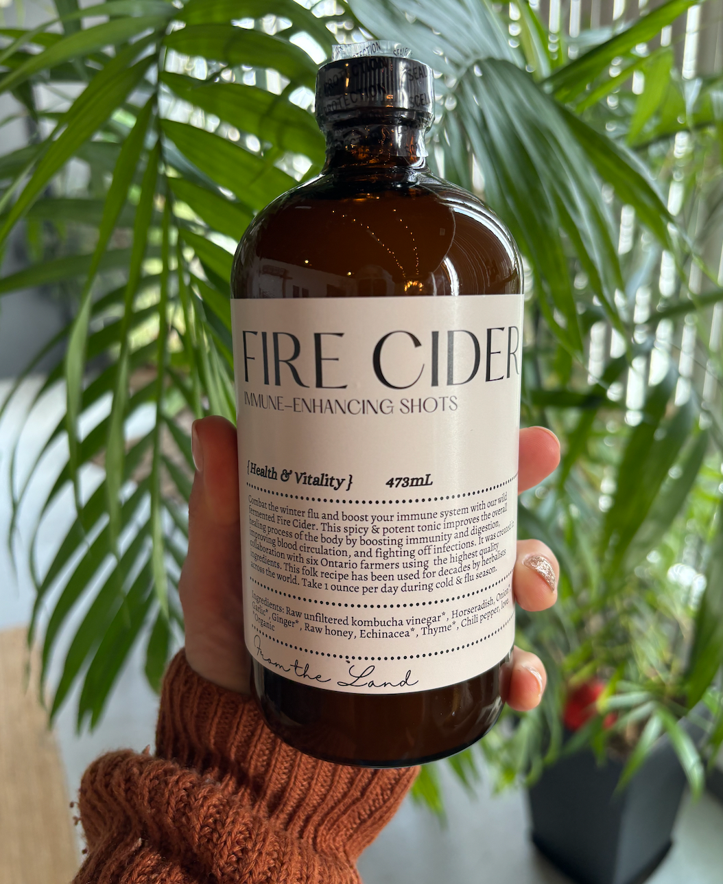 Booch Organic Kombucha + Moonbrew by Booch - Fire Cider