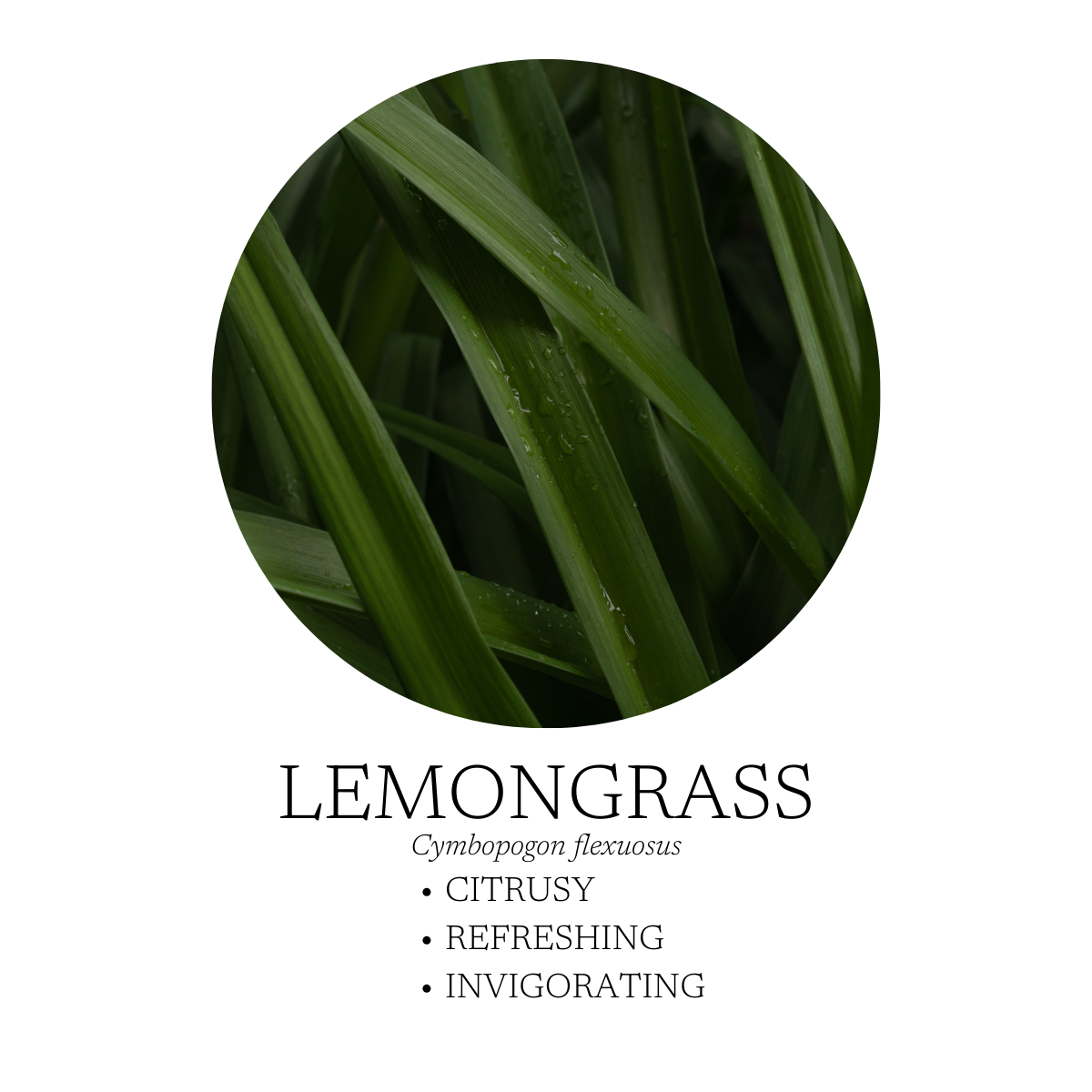 Aromatic Creation - After the Rain Linen + Room Spray 120 mL (4 fl. oz)