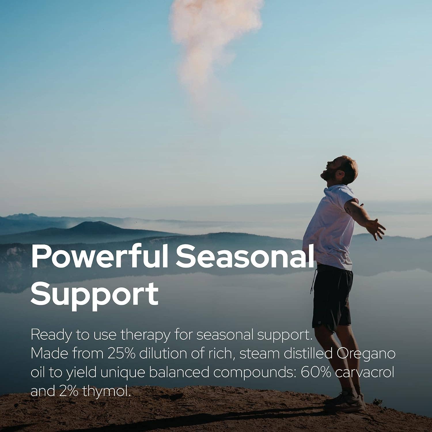 Plant of Life - Plant of Life Wild Oregano Oil - 6 Months Supply - 30ml, 1oz: 1oz