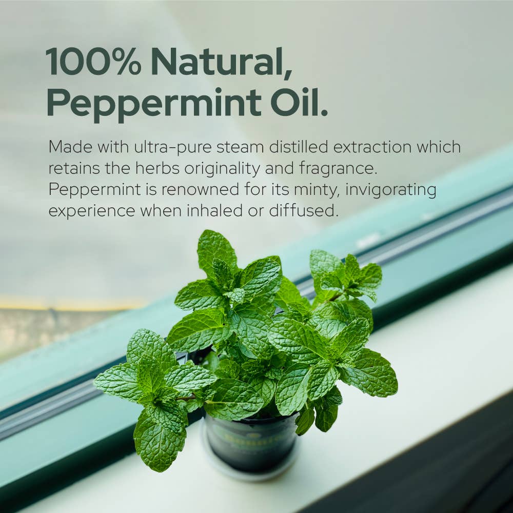 Plant of Life - Pure Peppermint Essential Oil - Therapeutic Grade - Sizes: 2oz