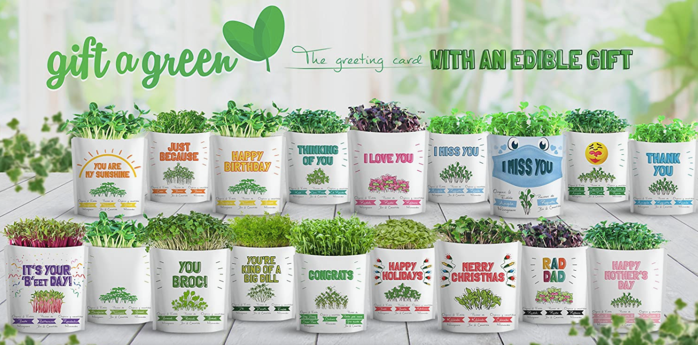 giftagreen - Blank - Write Your Own Message Greeting Card Pouch