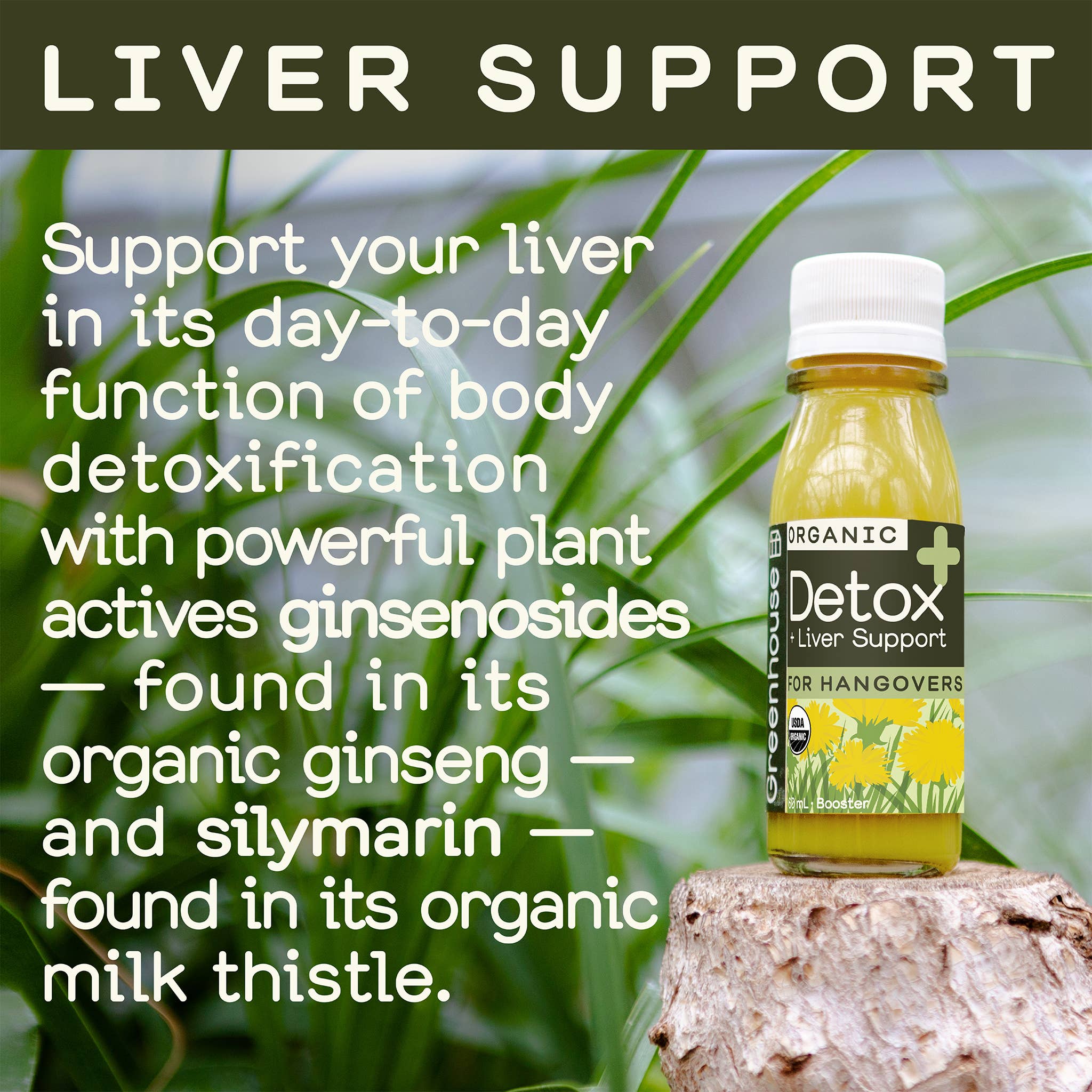 Greenhouse - Greenhouse Detox Wellness Shot for Reset: Twelve pack