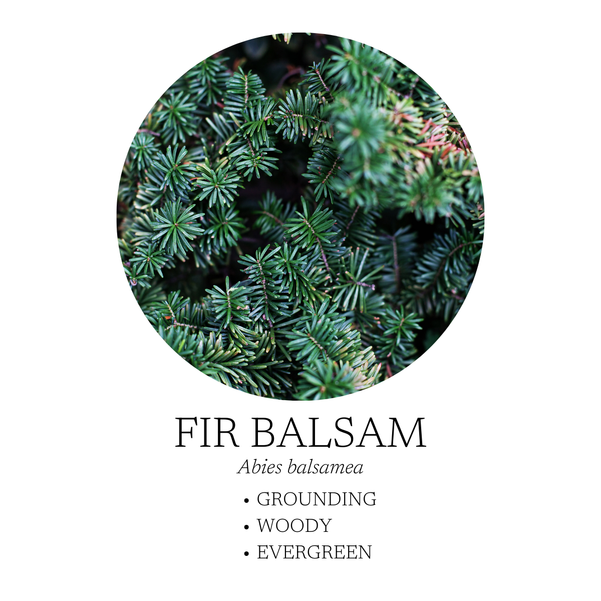 Aromatic Creation - Walk in the Woods Linen + Room Spray 120 mL