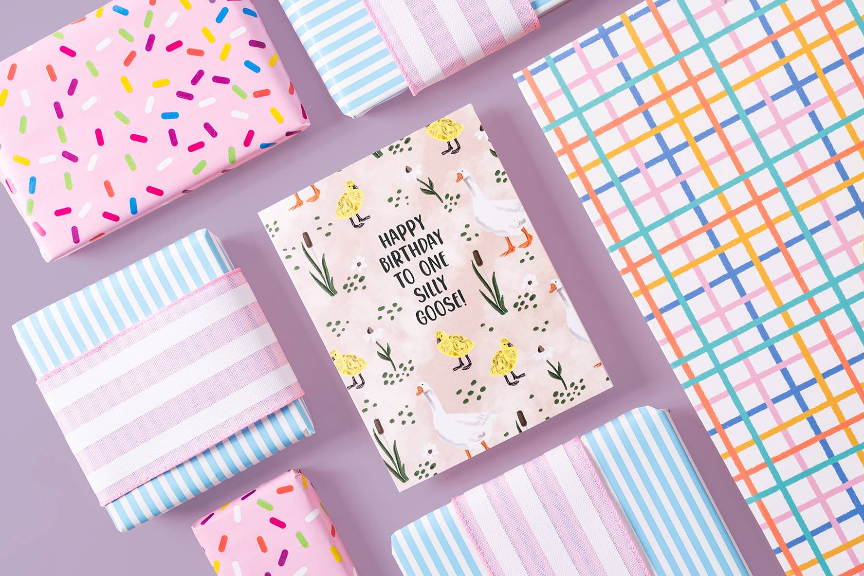 Jaybee Design - Happy Birthday To One Silly Goose! - Greeting Card