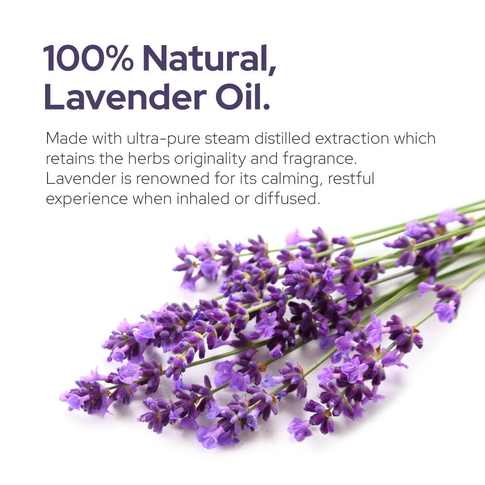 Plant of Life - Lavender Essential Oil | Therapeutic Grade | 4oz (120ml): 2oz