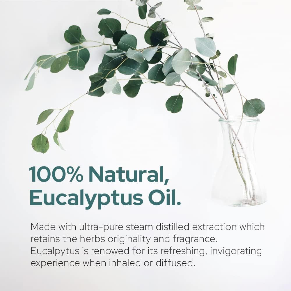 Plant of Life - Eucalyptus Essential Oil | Therapeutic Grade | Multi Sizes: 2oz