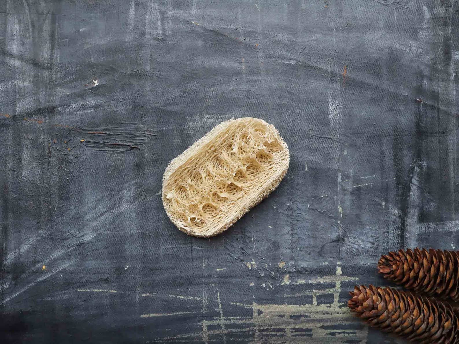 Plantish - Loofah Dishwashing Sponge: 1 Sponge