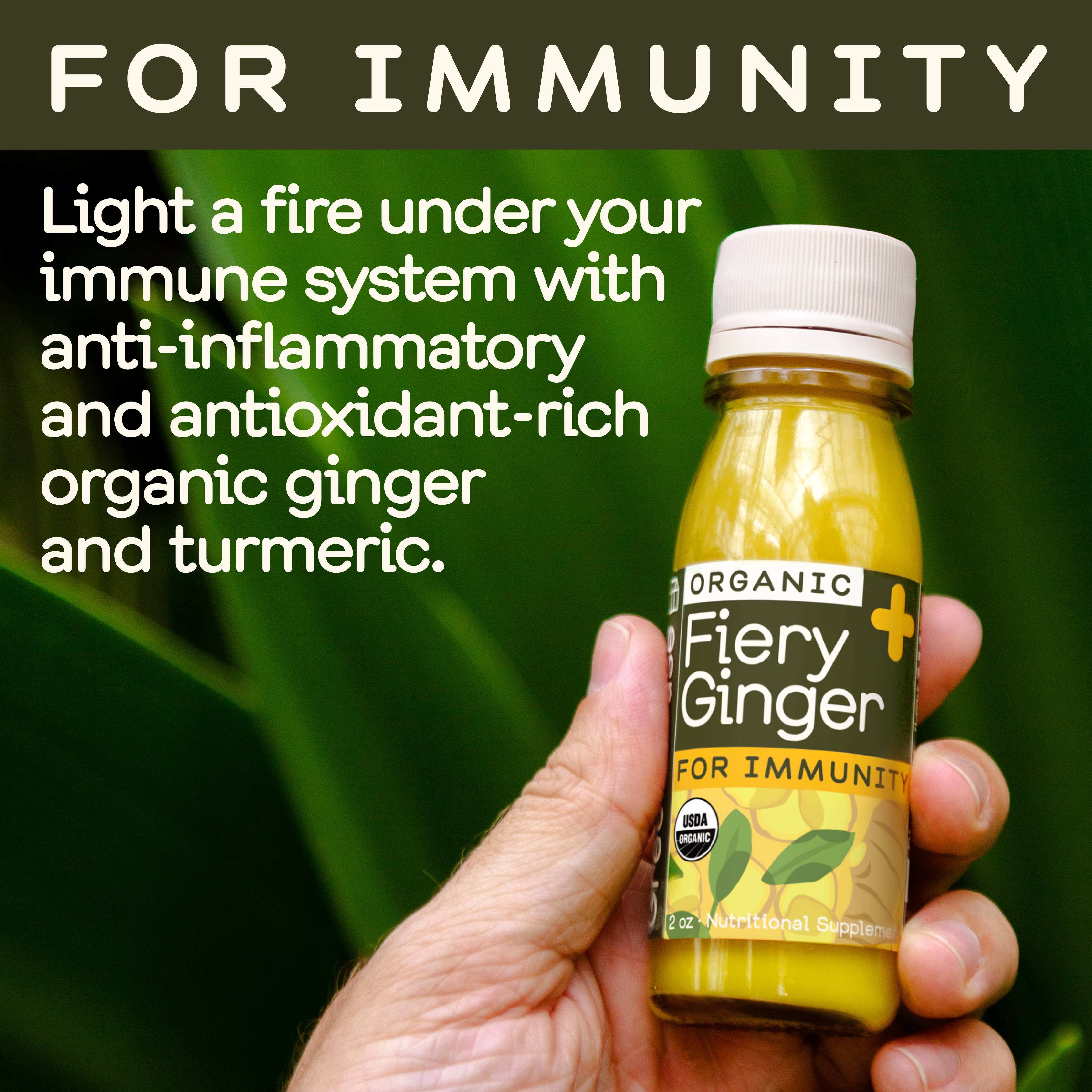 Greenhouse - Greenhouse Fiery Ginger Wellness Shot for Immunity: Twelve Pack
