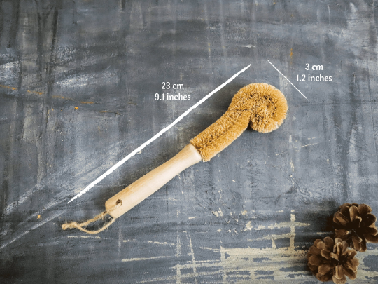 Plantish - Coconut Bottle Brush