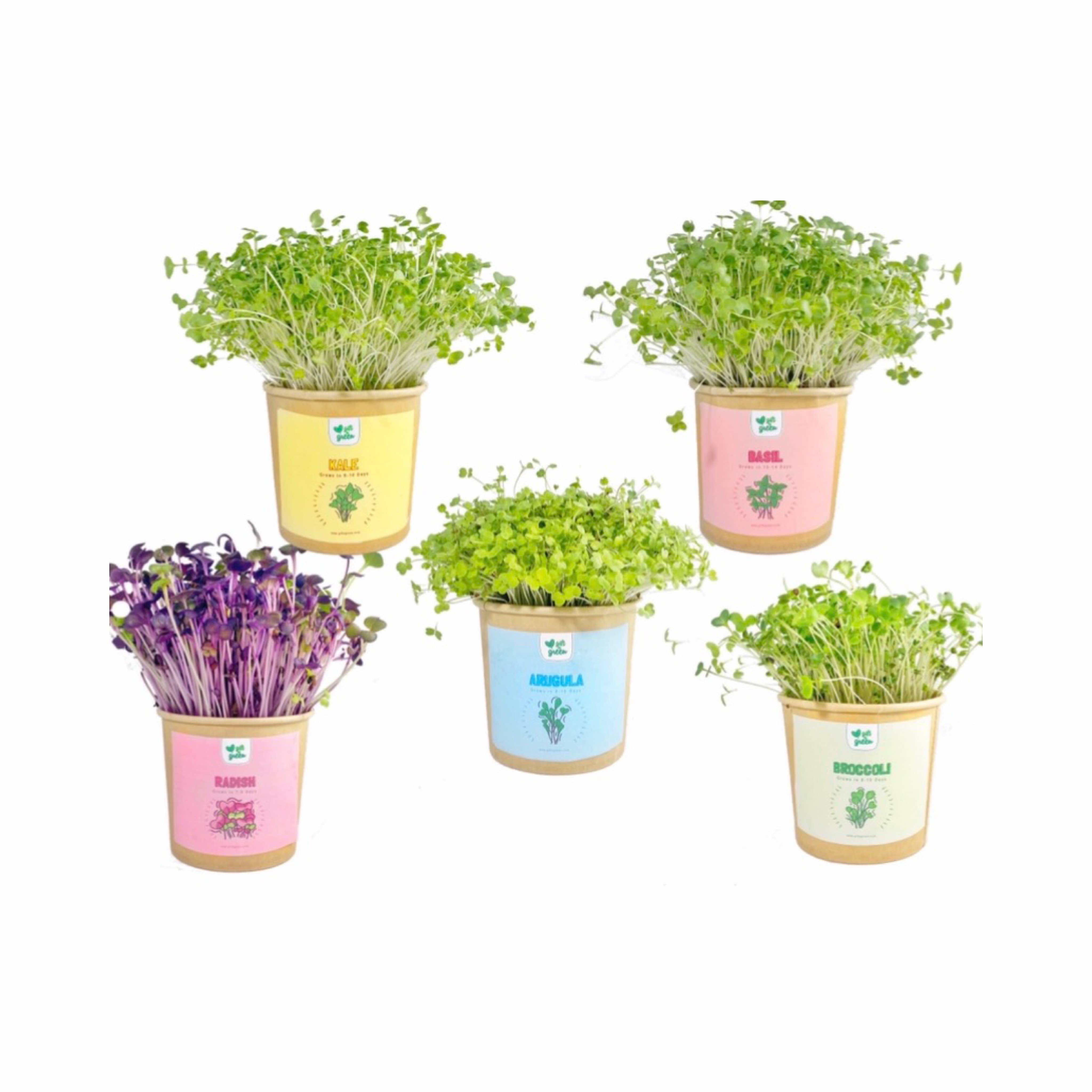 giftagreen - Gift Box - I Love You