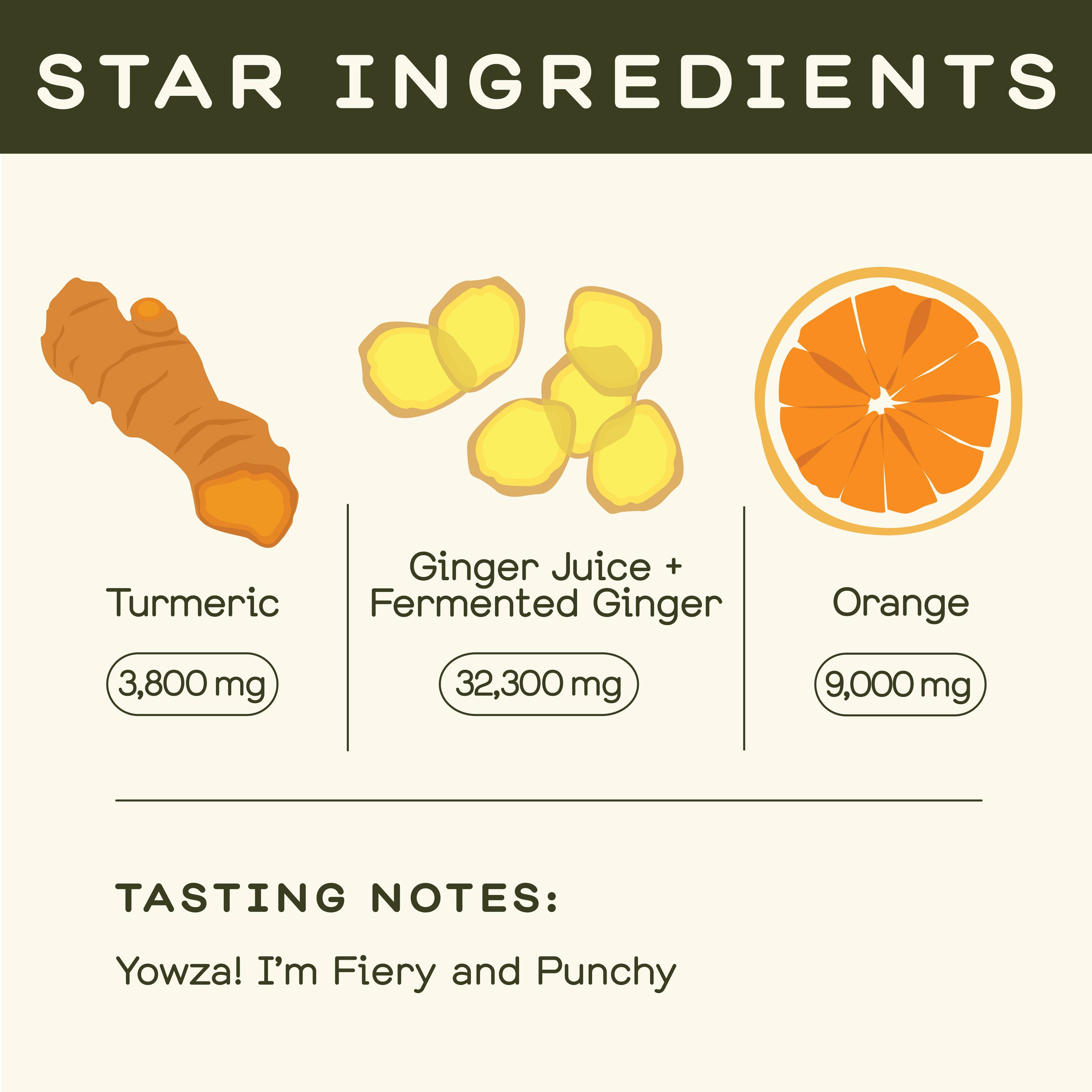 Greenhouse - Greenhouse Fiery Ginger Wellness Shot for Immunity: Twelve Pack