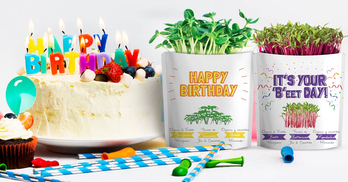 giftagreen - It's Your B'eet Day Greeting Card Pouch