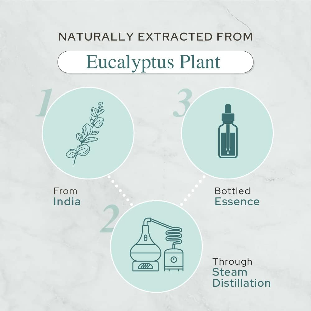 Plant of Life - Eucalyptus Essential Oil | Therapeutic Grade | Multi Sizes: 2oz