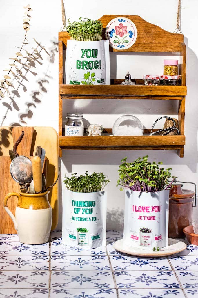 giftagreen - It's Your B'eet Day Greeting Card Pouch