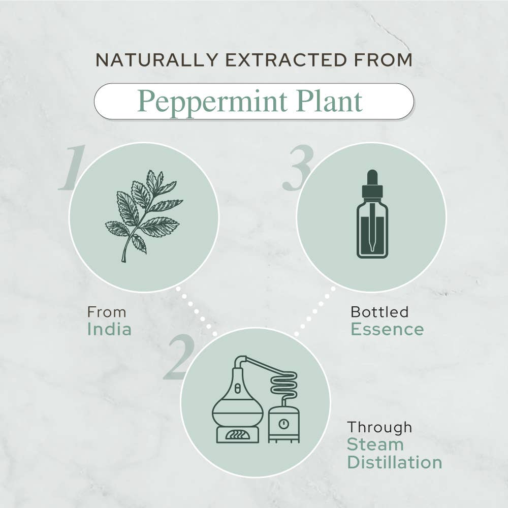 Plant of Life - Pure Peppermint Essential Oil - Therapeutic Grade - Sizes: 2oz