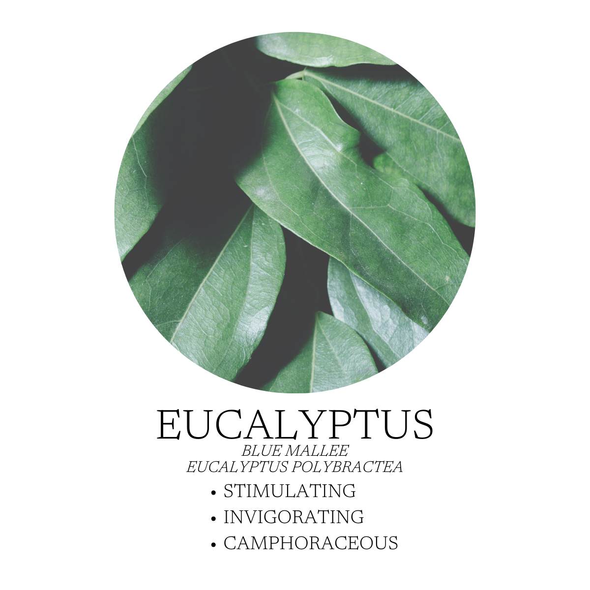 Aromatic Creation - By the Lake Linen + Room Spray 120 mL (4 fl. oz)