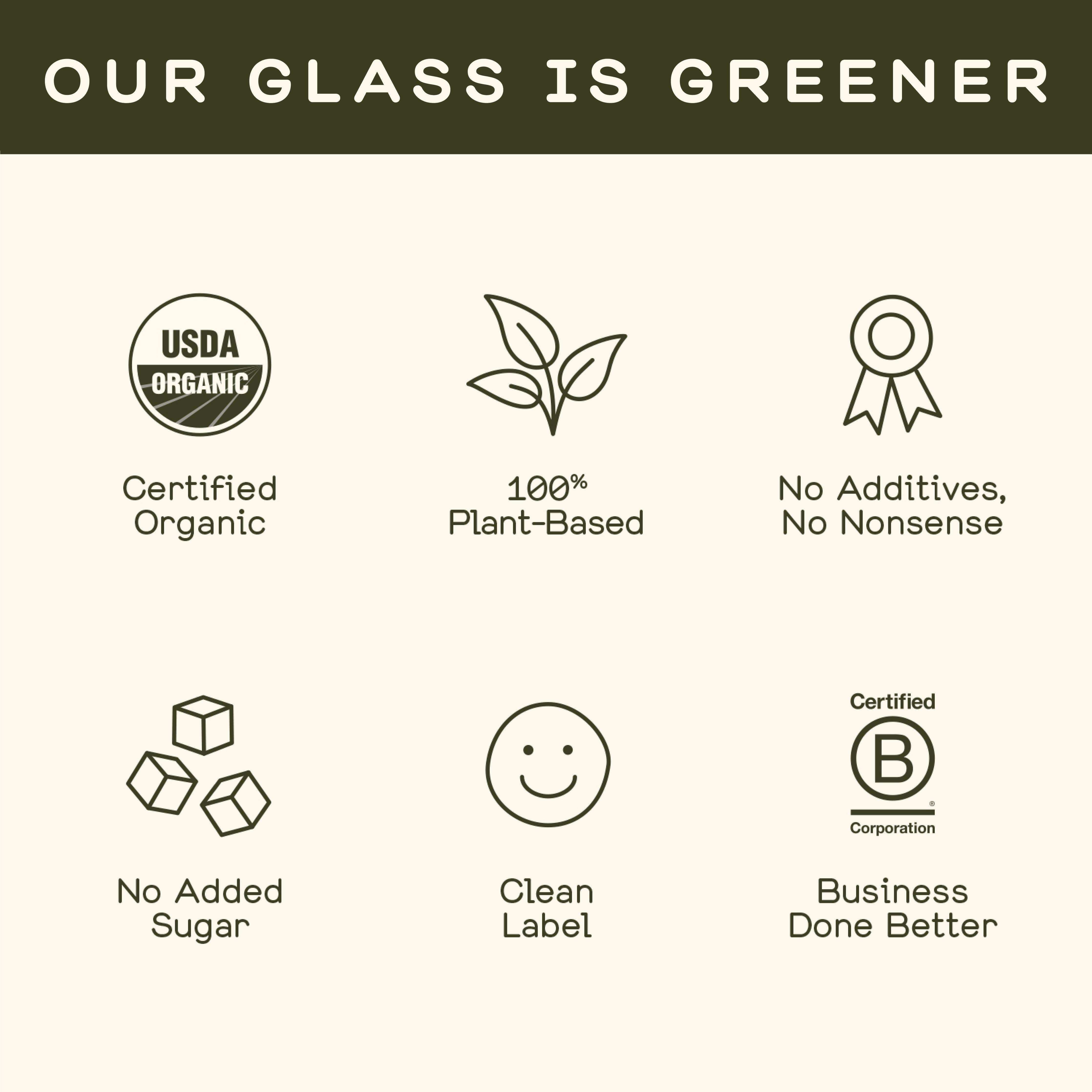 Greenhouse - Greenhouse Fiery Ginger Wellness Shot for Immunity: Twelve Pack