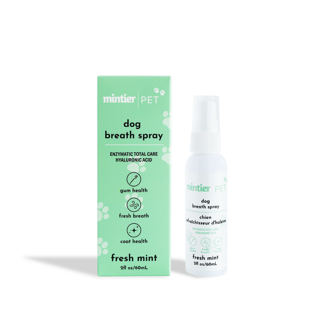 Mintier - Pet Breath Spray