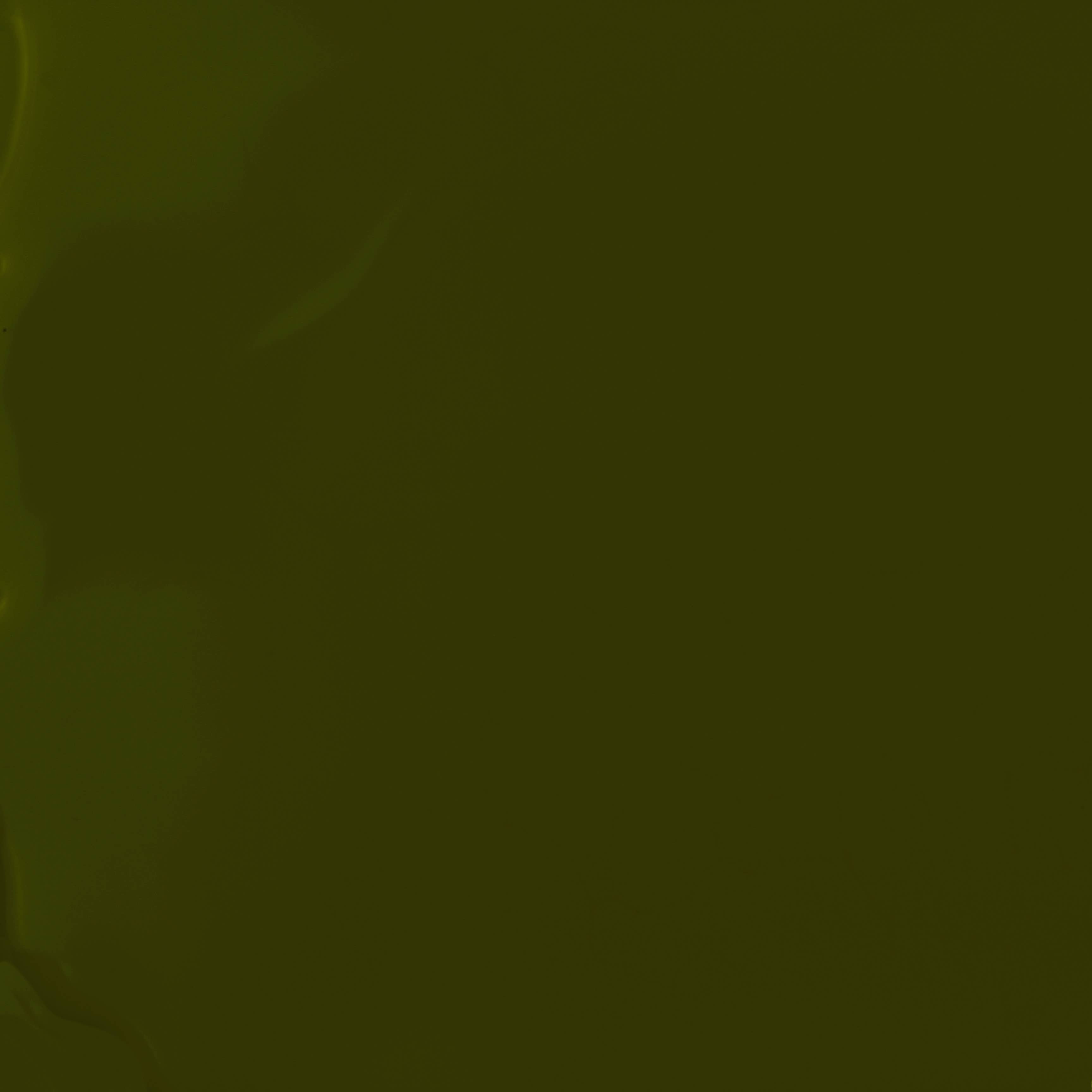 BKIND - Vegan & 21-free Nail Polish - La Route Verte