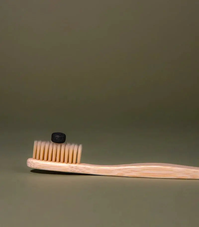 TANIT - Mint Charcoal Toothpaste Tablets-Compostable Refill 124 tabs