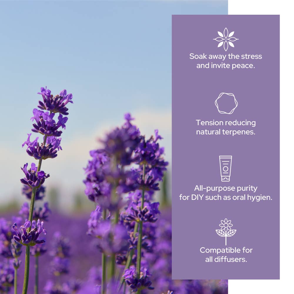 Plant of Life - Lavender Essential Oil | Therapeutic Grade | 4oz (120ml): 2oz