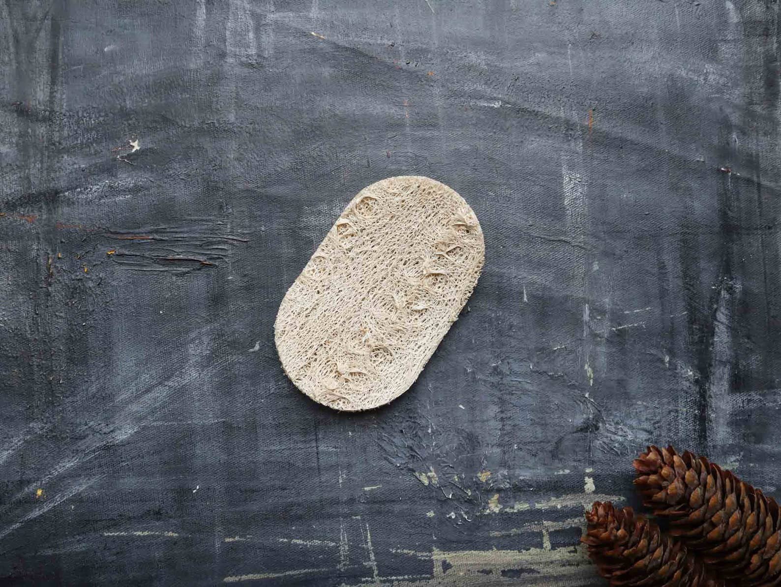 Plantish - Loofah Dishwashing Sponge: 1 Sponge