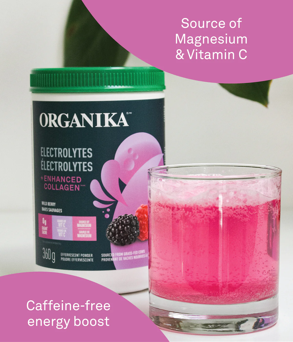 Organika Electrolytes + Enhanced Collagen - Wild Berry