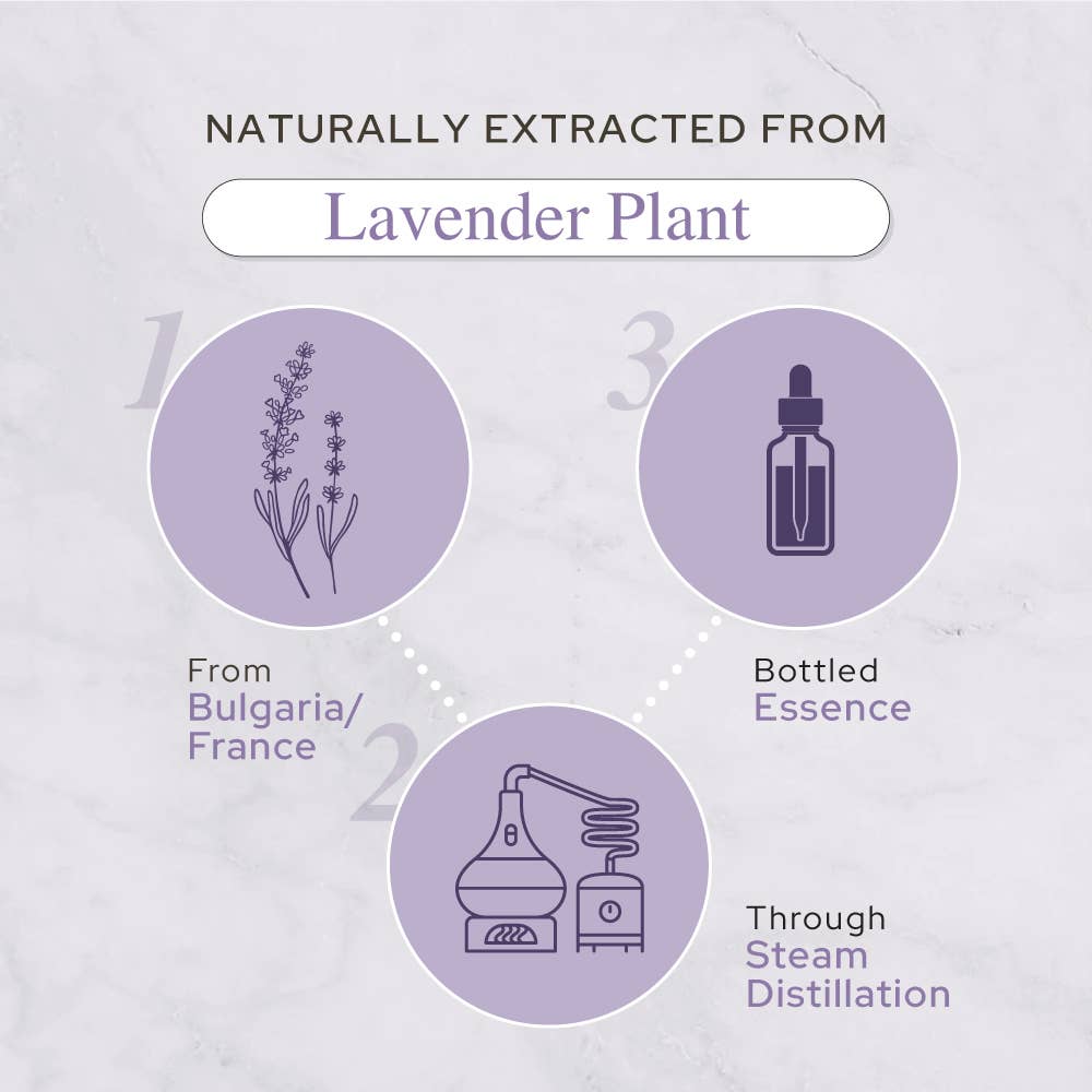 Plant of Life - Lavender Essential Oil | Therapeutic Grade | 4oz (120ml): 2oz