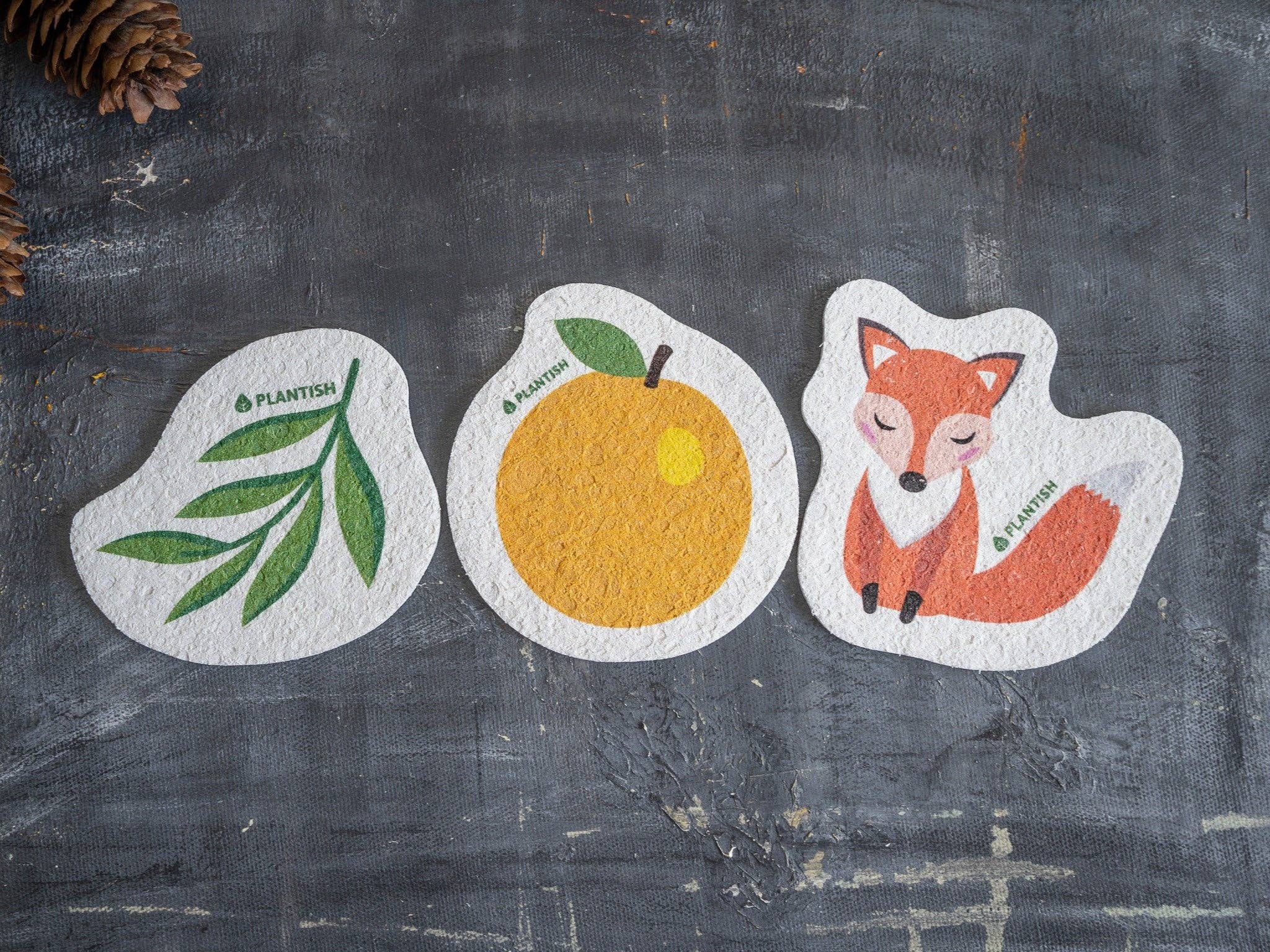 Plantish - Eucalyptus - Pop up Sponge