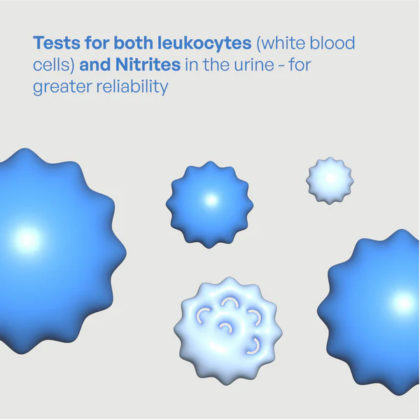 UTI Diagnostic Test Strips