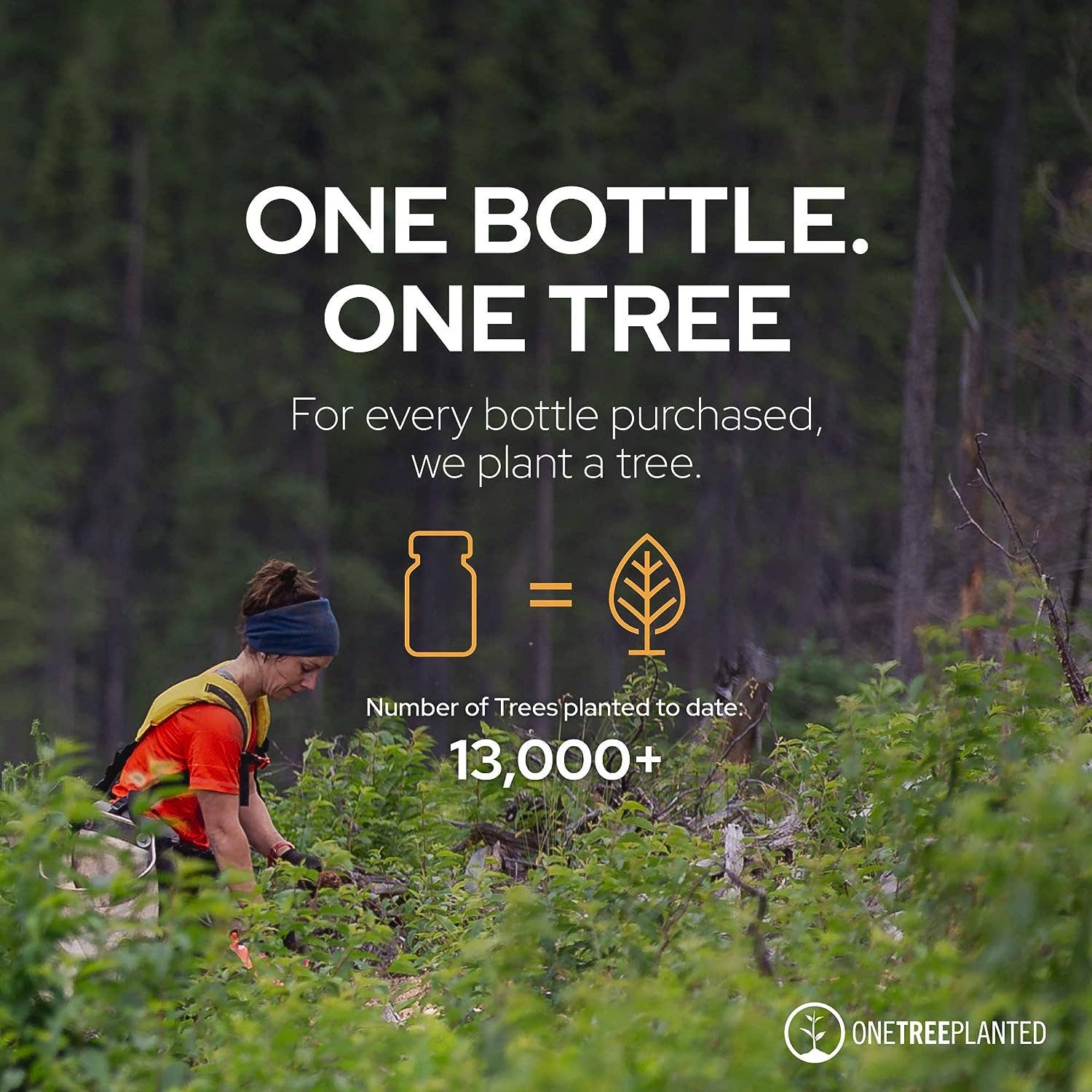 Plant of Life - Plant of Life Wild Oregano Oil - 6 Months Supply - 30ml, 1oz: 1oz