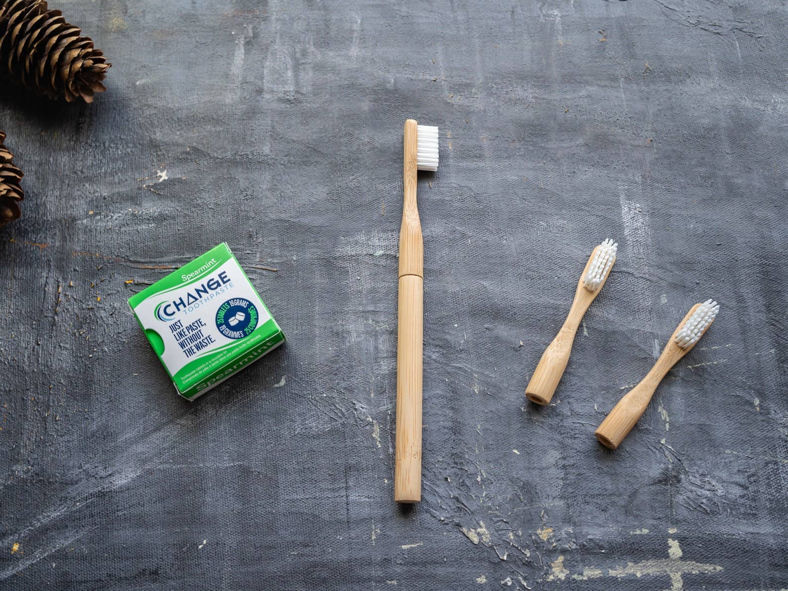 Plantish - Refillable Bamboo Toothbrush (Canada only): 2 Refills