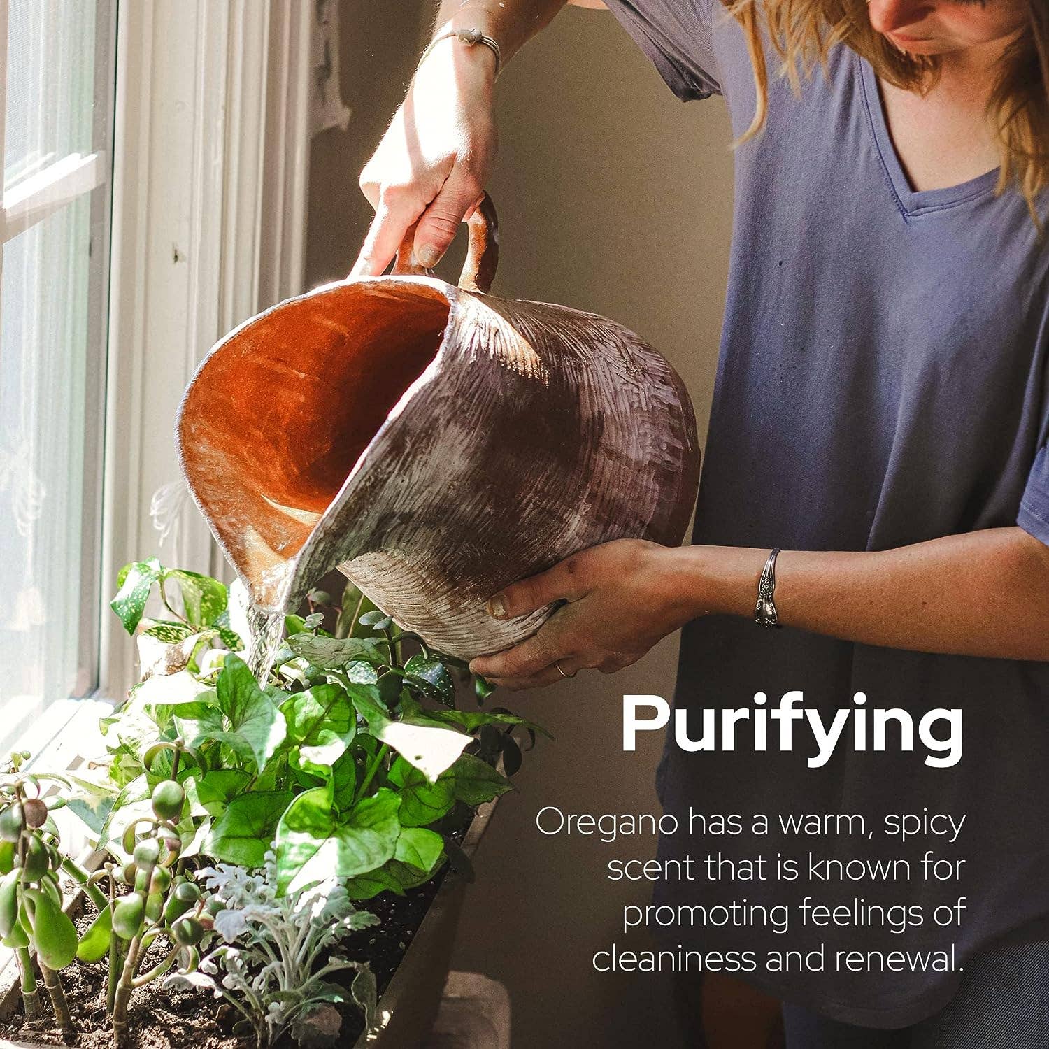 Plant of Life - Plant of Life Wild Oregano Oil - 6 Months Supply - 30ml, 1oz: 1oz