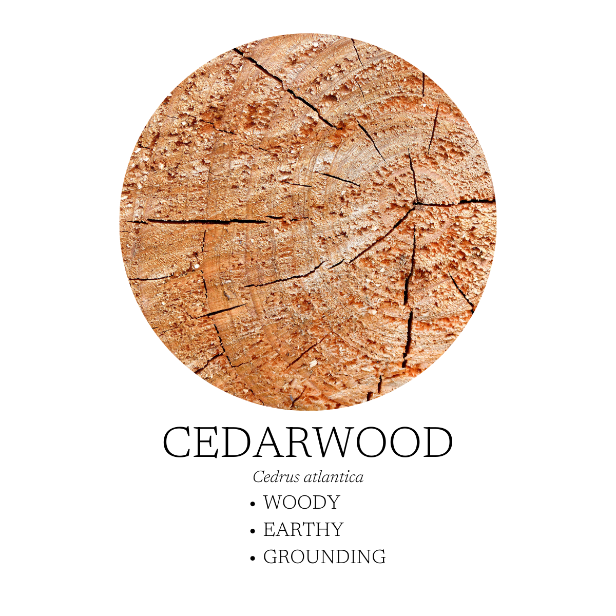 Aromatic Creation - Walk in the Woods Linen + Room Spray 120 mL