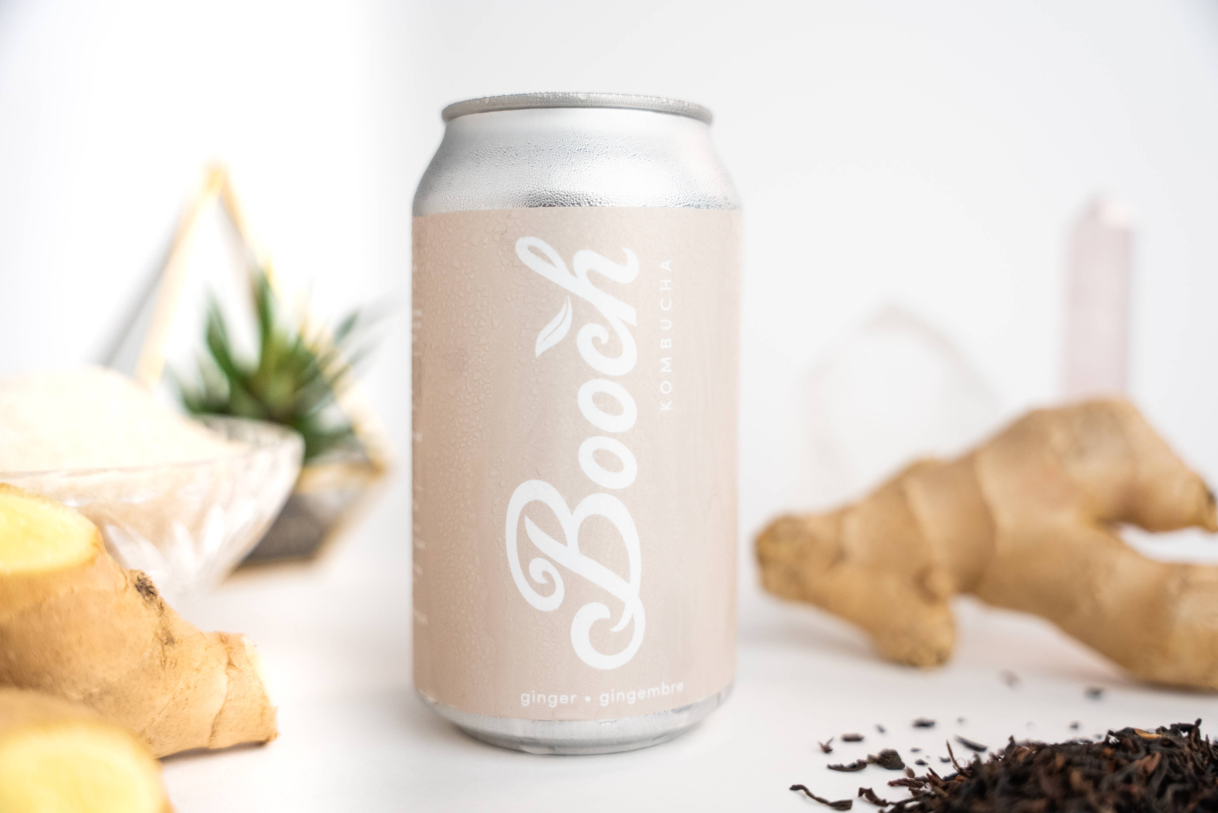 Booch Organic Kombucha + Moonbrew by Booch - Cans - Ginger Kombucha
