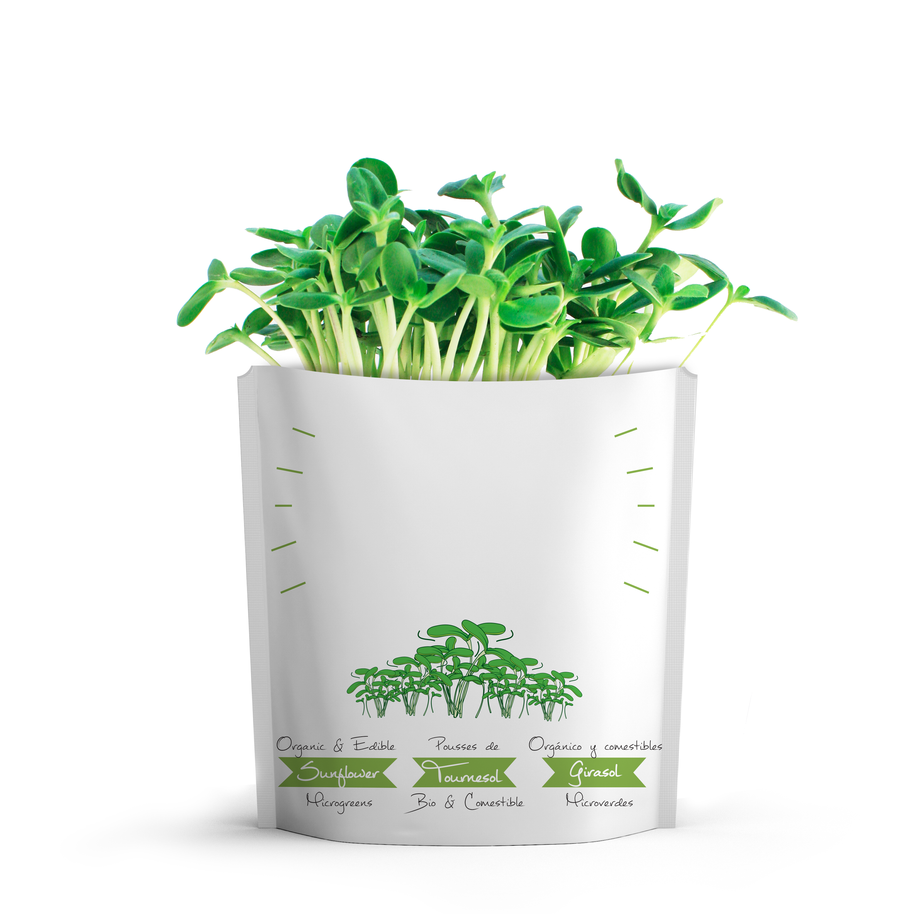 giftagreen - Blank - Write Your Own Message Greeting Card Pouch