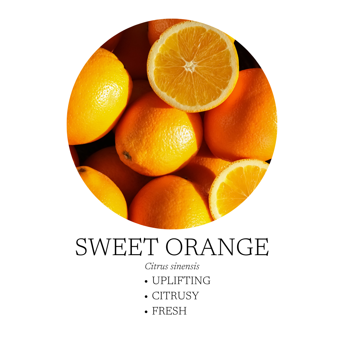 Aromatic Creation - Coastal Linen + Room Spray 120 mL (4 fl oz)