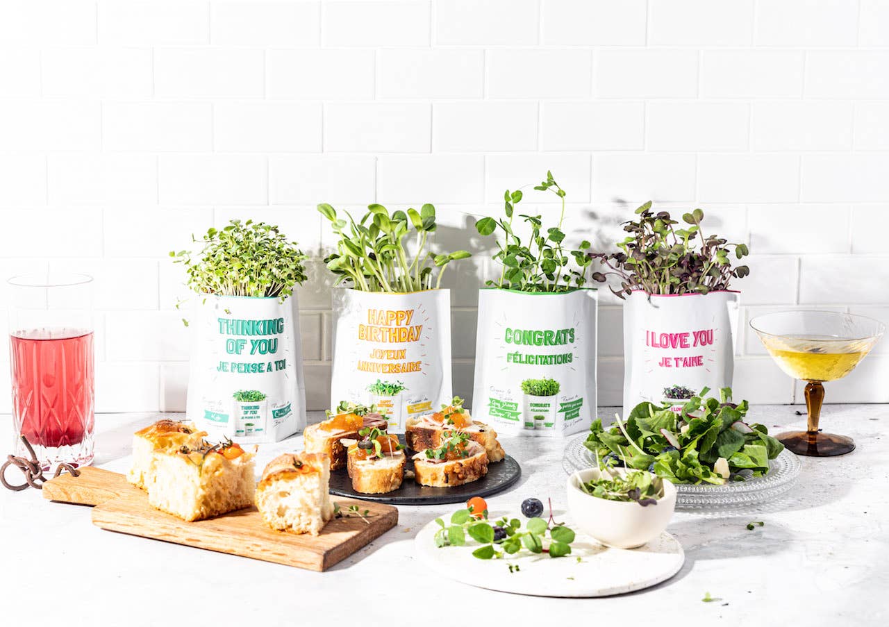 giftagreen - It's Your B'eet Day Greeting Card Pouch