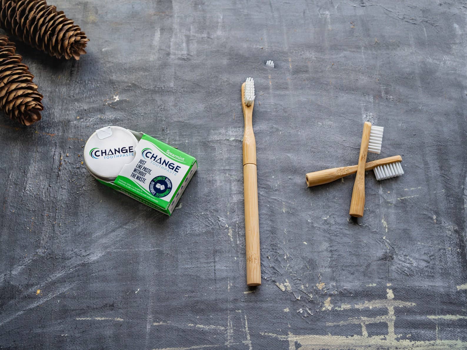 Plantish - Refillable Bamboo Toothbrush (Canada only): 2 Refills