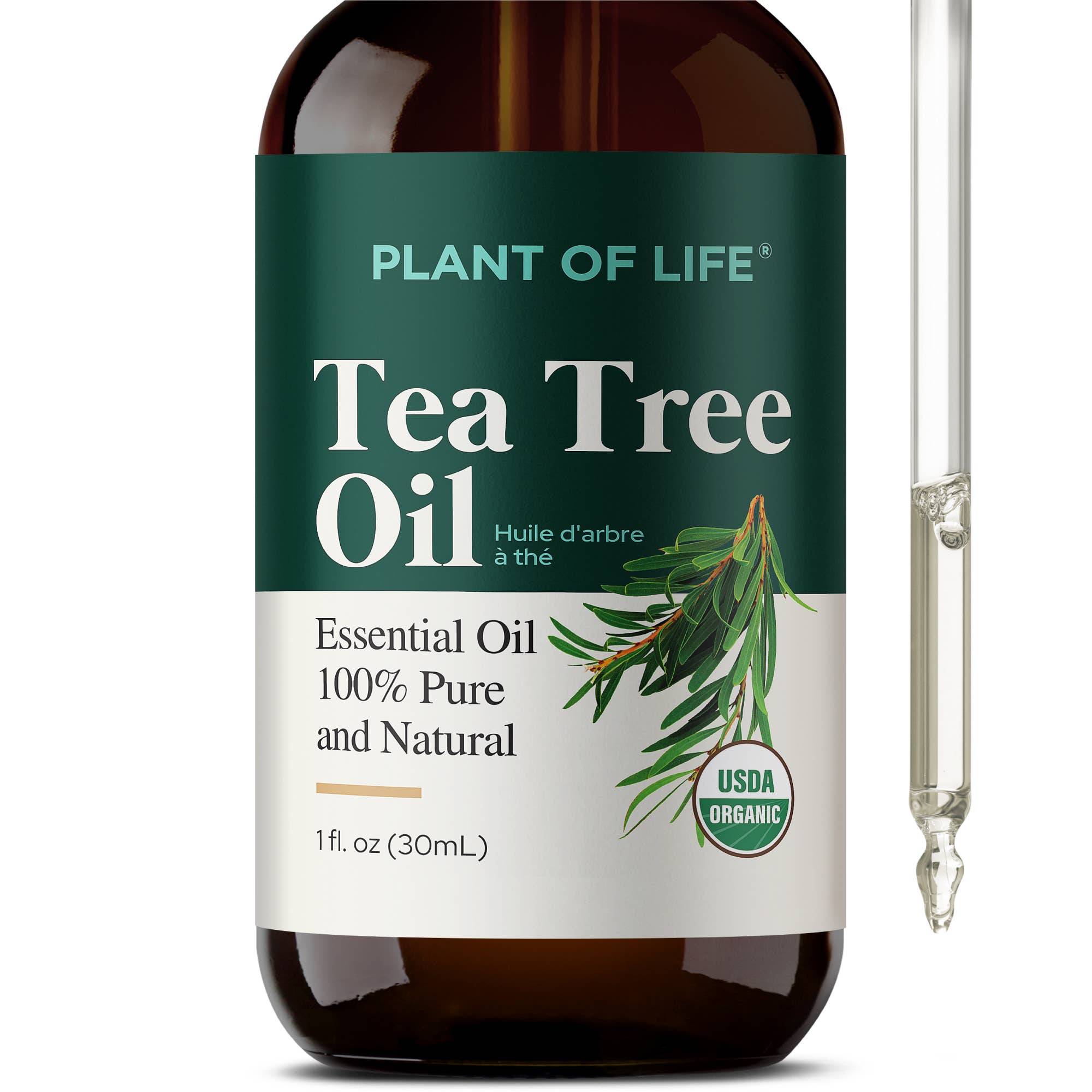 Plant of Life - Tea Tree Oil for Aromatherapy, Skincare and Haircare | Sizes: 2oz