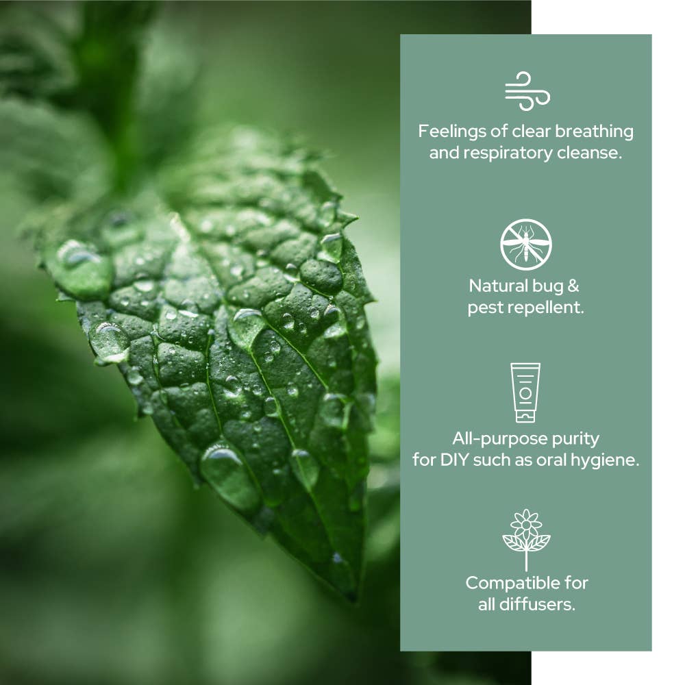 Plant of Life - Pure Peppermint Essential Oil - Therapeutic Grade - Sizes: 2oz