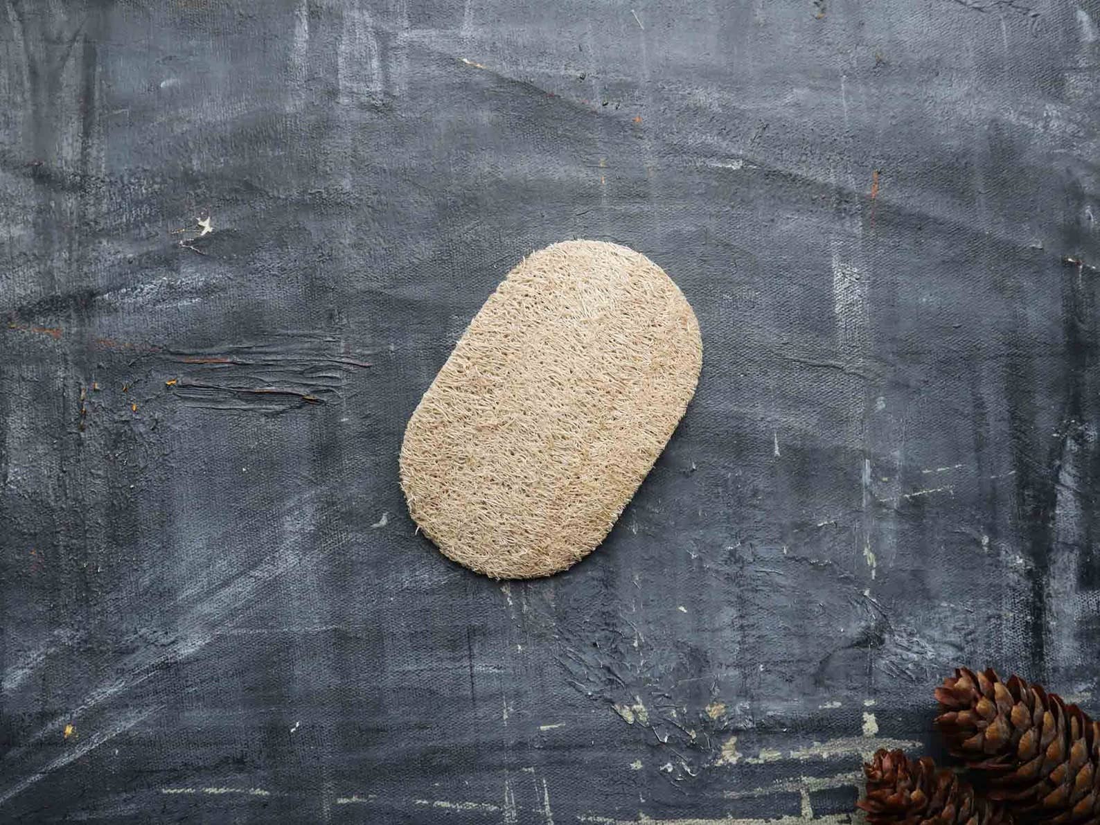 Plantish - Loofah Dishwashing Sponge: Set of 2 Sponges