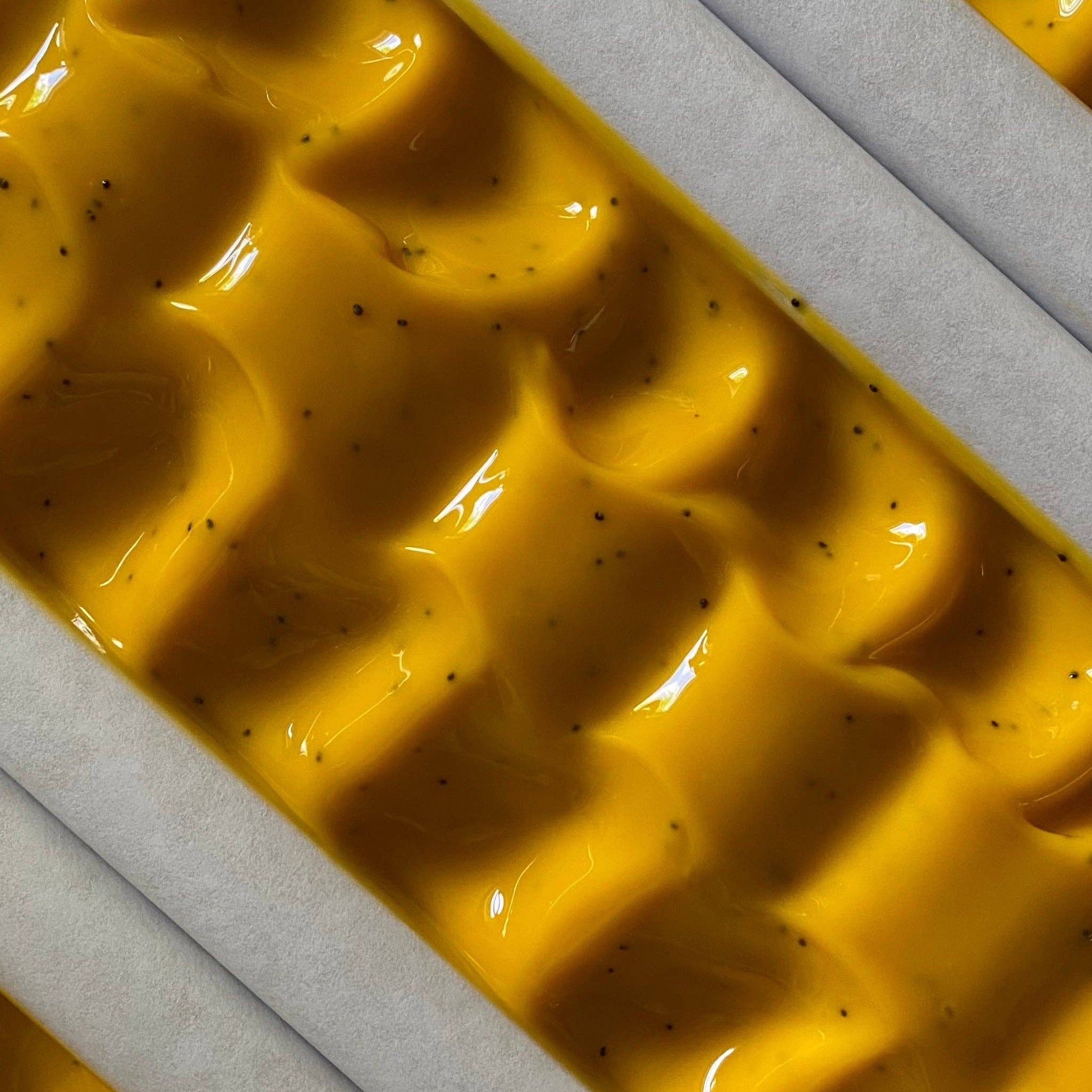 Hudson Soap Co - LEMON + POPPY | natural soap