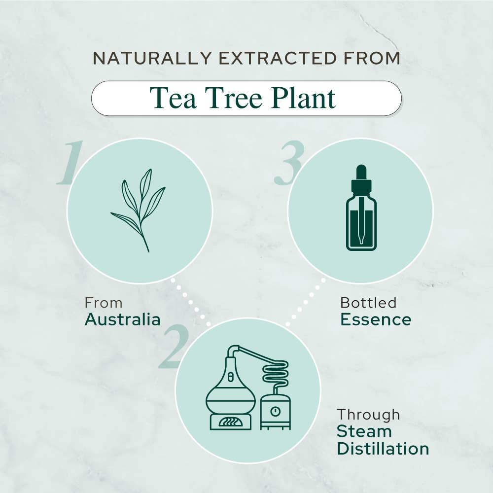 Plant of Life - Tea Tree Oil for Aromatherapy, Skincare and Haircare | Sizes: 2oz