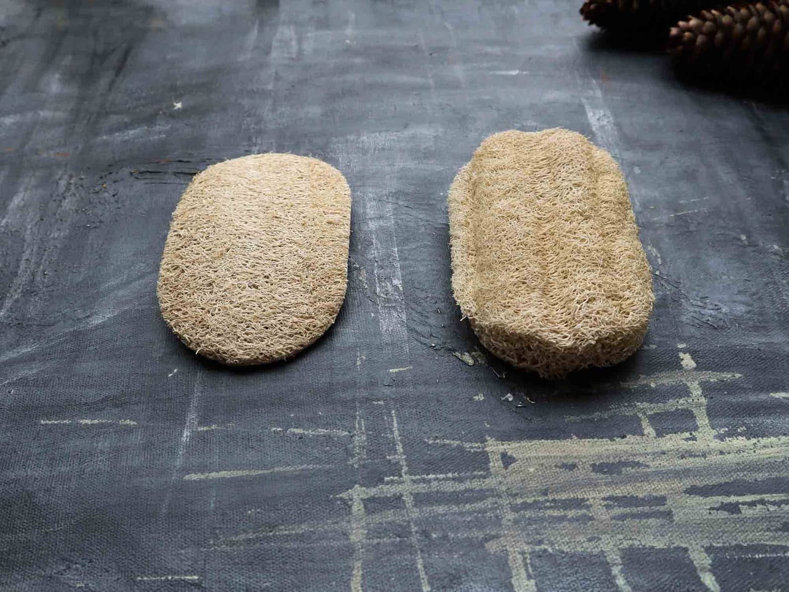 Plantish - Loofah Dishwashing Sponge: Set of 2 Sponges