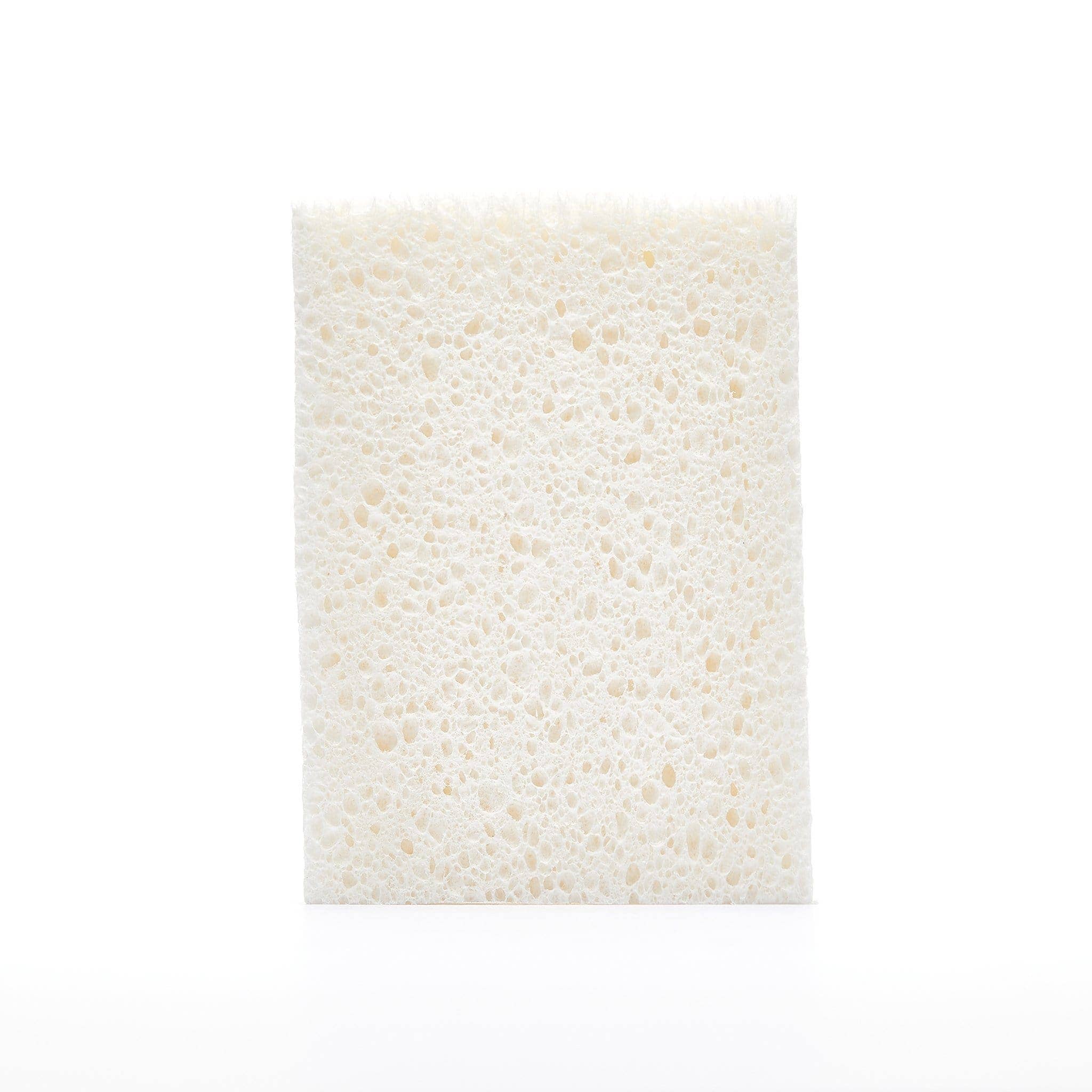 The Unscented Company - TUC x KLIIN | Spongy - Compostable Sponges