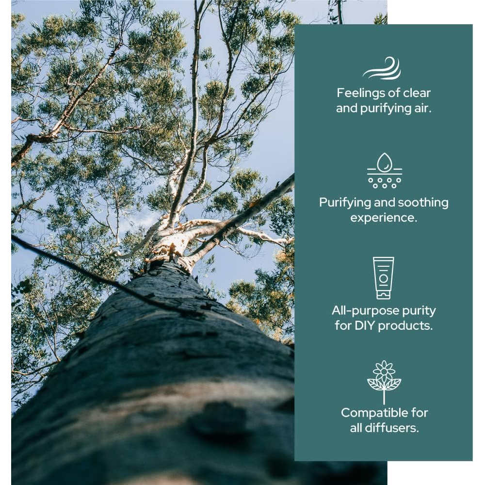 Plant of Life - Eucalyptus Essential Oil | Therapeutic Grade | Multi Sizes: 2oz