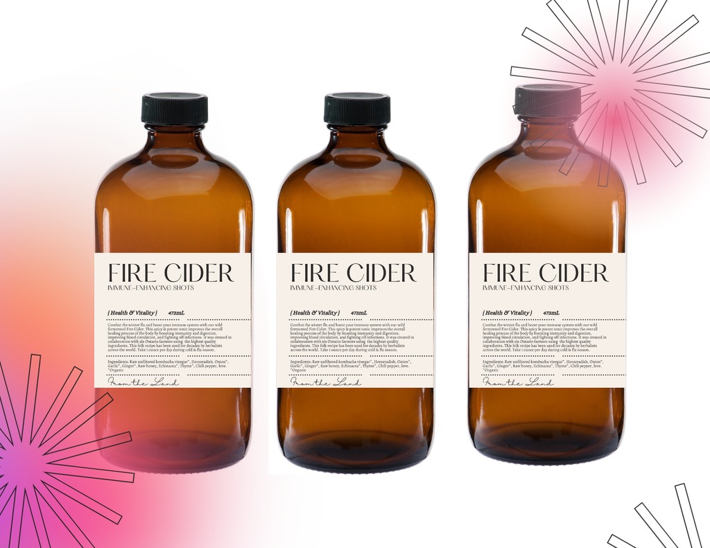 Booch Organic Kombucha + Moonbrew by Booch - Fire Cider