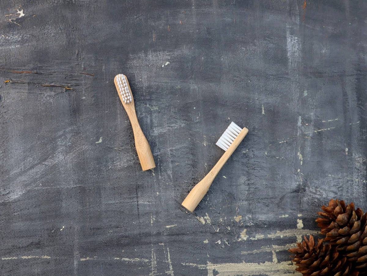 Plantish - Refillable Bamboo Toothbrush (Canada only): 1 Brush