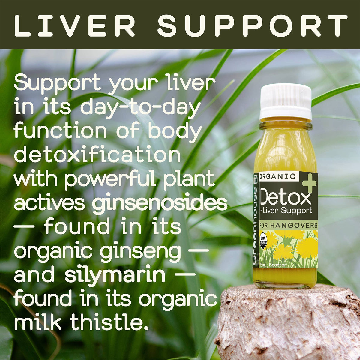 Greenhouse - Greenhouse Detox Wellness Shot for Reset: Twelve pack